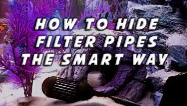 How to hide aquarium filter pipes behind the 3d background