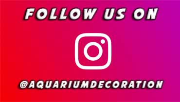 Aquarium Decoration Ideas on Instagram - follow Aqua Maniac