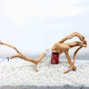 Red Moor Root  59x35x21cm