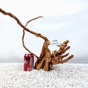 Red Moor Root Size 37x28x26cm