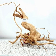 Red Moor Root   Size 62x26x28cm