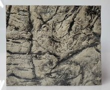 3D Thin Grey Rock Background Sample