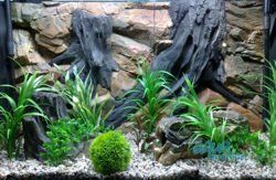 Fluval Roma 200 3D Root Background 97x45cm in 2 sections