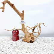 Red Moor Root Size 34x19x22cm