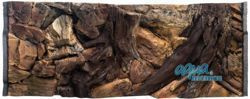 3D root background 117x54cm