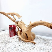 Red Moor Root Size 57x18x2 cm