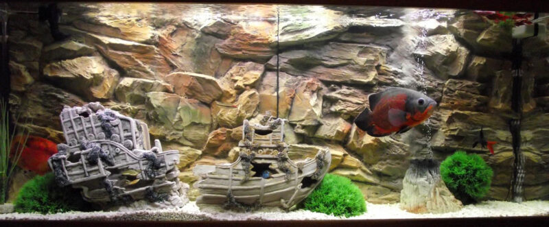 How to install a 3D background inside your aquarium?