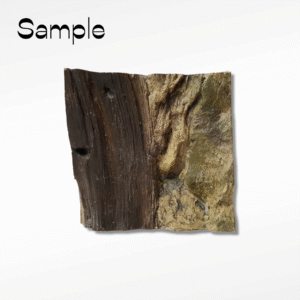 Fish tank background - 3D Basic root Background Sample
