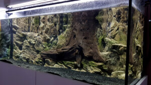3D Basic Root Background for tropical fish tanks by Aqua Maniac
