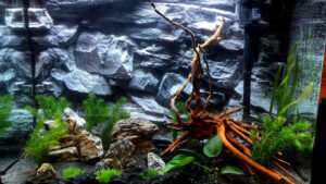 how hid filter pippes behind a 3D background from Aqua Maniac