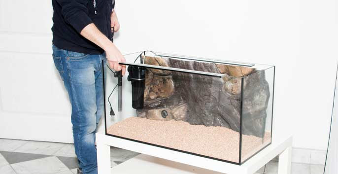 aquairum heater installation behind 3d background