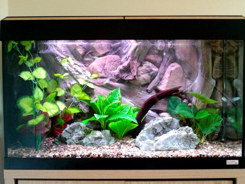 aquarium decoration by Aqua Maniac
