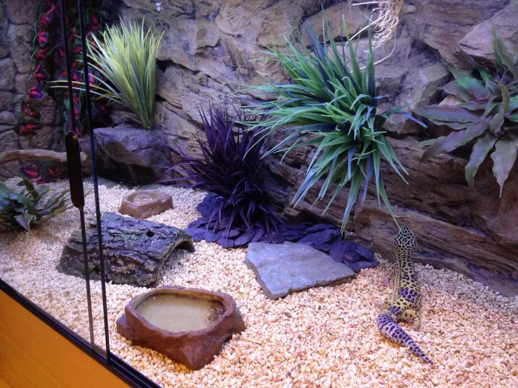 3d Rock background decoraiton for vivariums