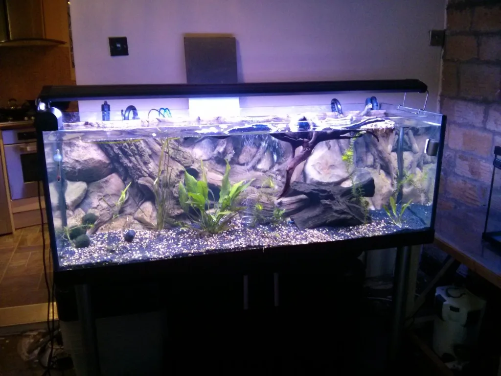 3D Amazon background aquarium decoration in large fish tank