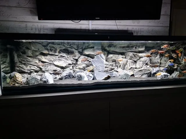 aquarium decoration for large fish tanks