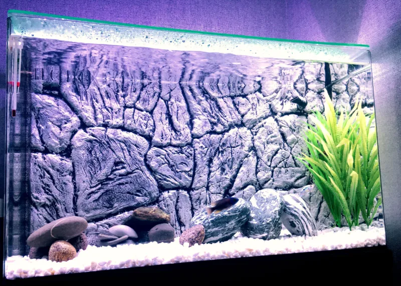 3D Thin grey