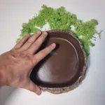 b4bf71617a91eff161d471a7bcf6a80c