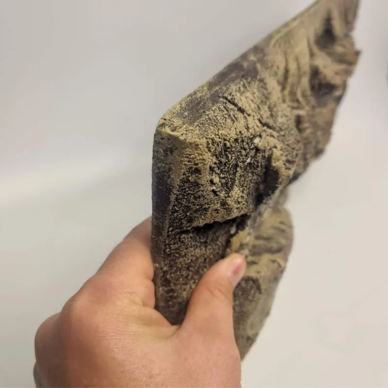 Hand showing the depth of the Thin Beige Rock terrarium background