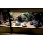 Wide customer terrarium fitted with Thin Beige Rock background panels