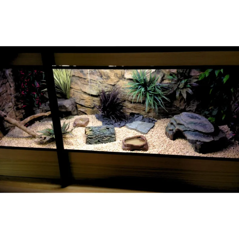 Wide customer terrarium fitted with Thin Beige Rock background panels