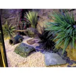 Side view of a customer terrarium with a Thin Beige Rock background