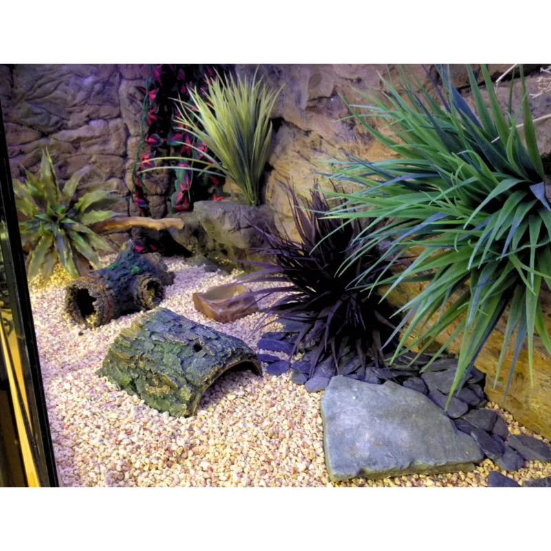 Side view of a customer terrarium with a Thin Beige Rock background