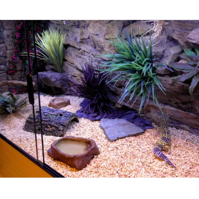 Customer leopard gecko terrarium with Aqua Maniac Thin Beige Rock 3D background