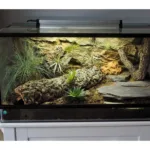 Customer terrarium decorated with a Thin Beige Rock 3D background