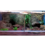 Aqua Maniac Thin Beige Rock 3D background installed in a long terrarium