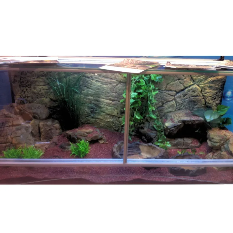 Thin Beige Rock 3D background fitted in a long terrarium